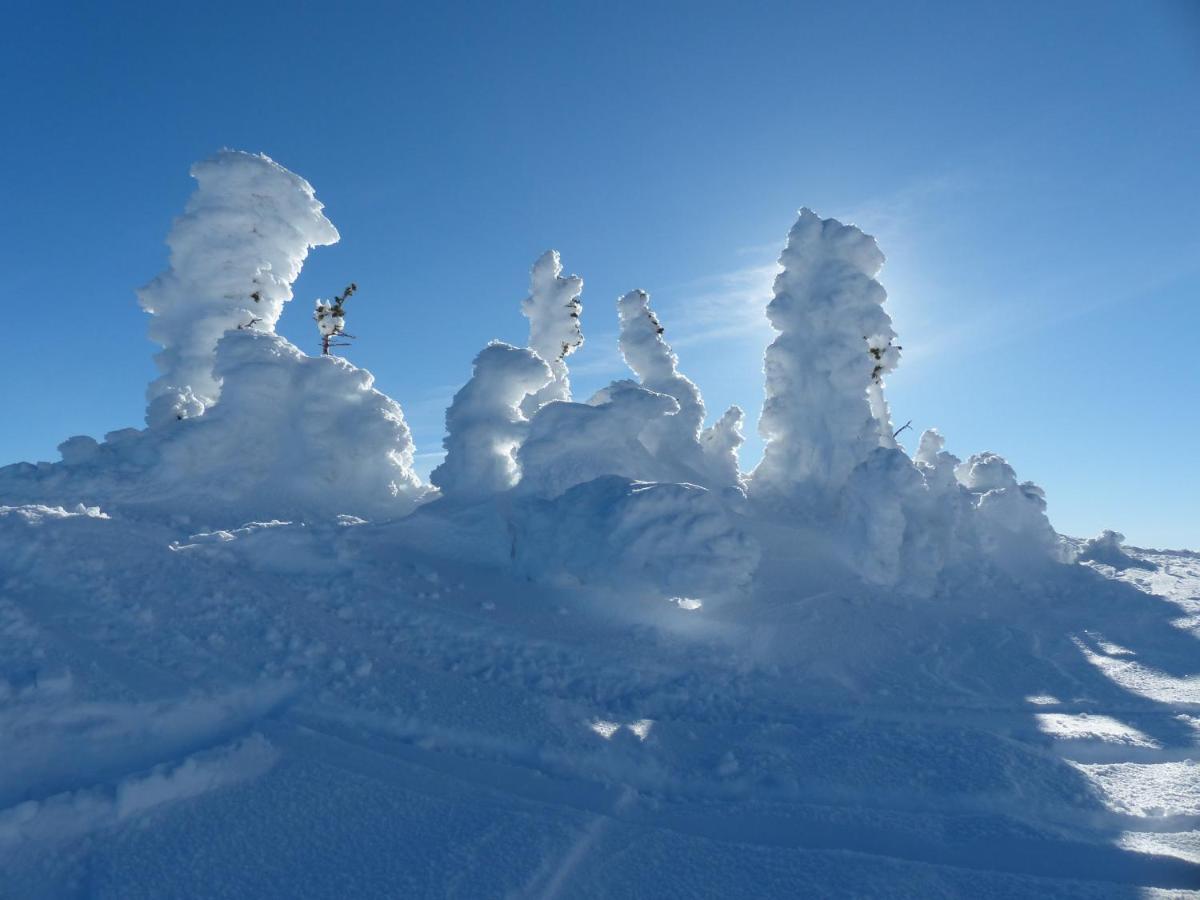Stonebridge Lodge Big White Buitenkant foto