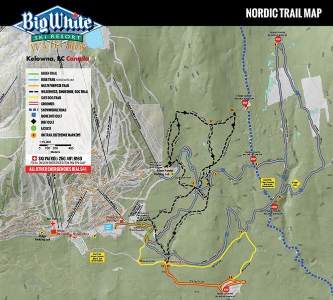 Stonebridge Lodge Big White Buitenkant foto